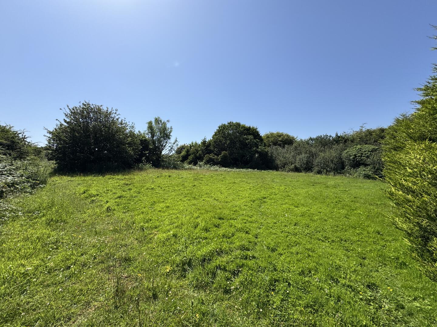 Busveal, Redruth